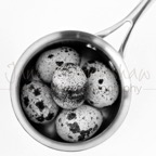 food_photography_speckled_eggs
